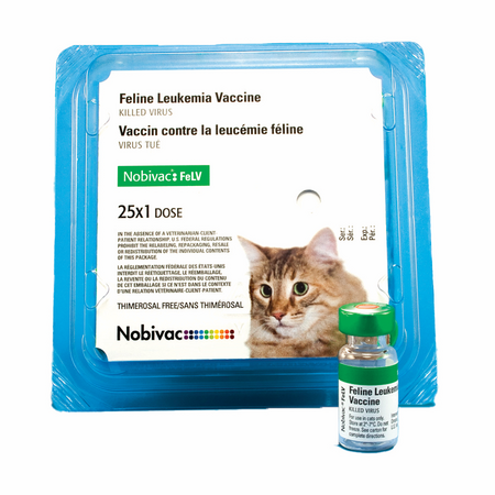 Curated visual reference: Gallery Detail: Nobivac Feline 2 Felv Vaccine