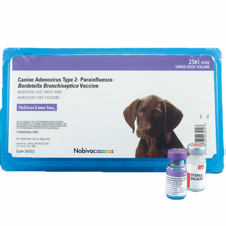 Veterinary Pediatrics 第3版 Veterinary Pediatrics: Dogs and Cats from Birth to Six Months, 3rd