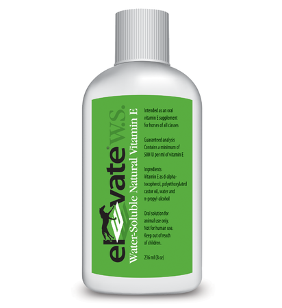 liquid vitamin e supplement Elevate W.S. Vitamin E Liquid Supplement