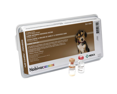 Nobivac Canine Puppy-DPv Vaccine