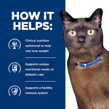 glucose management cat food