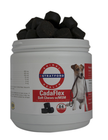 cadaflex soft chews with msm