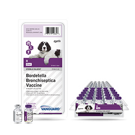 Vanguard B Oral Bordetella Vaccine, Syringe Required