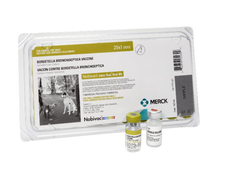 Nobivac Canine Intra-Trac Oral Bb Vaccine