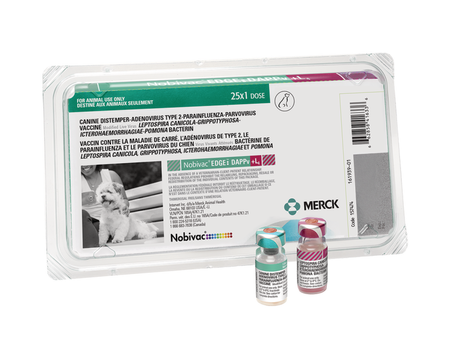 Nobivac Canine EDGE DAPPv+L4 Vaccine