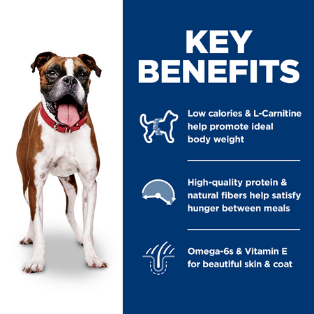 l-carnitine benefits for dogs PrintDetails