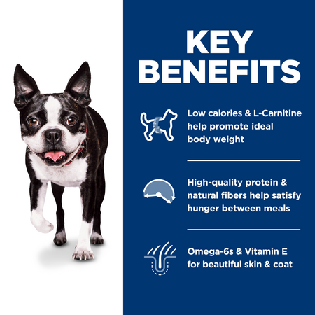 l carnitine benefits for dogs PrintDetails