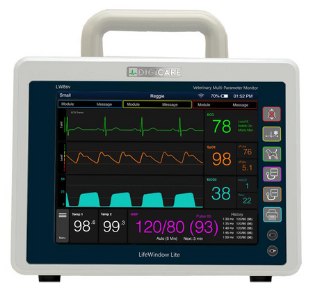 LifeWindow Lite Base Unit, LW8sv