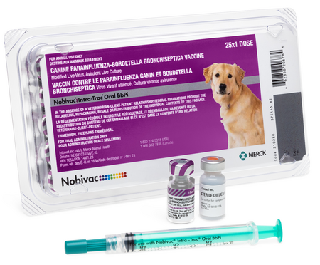 Nobivac Canine Intra-Trac Oral BbPi Vaccine